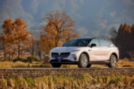 全年銷售85697輛，大漲70% 嵐圖知音助力嵐圖&ldquo;拔節&rdquo;生長html94.png